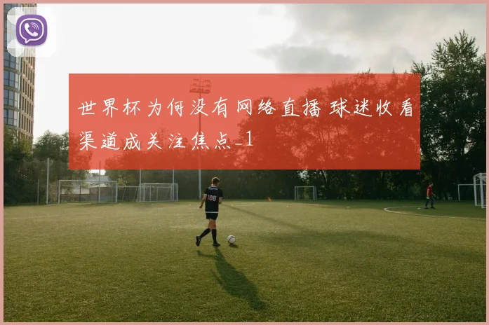 世界杯为何没有网络直播 球迷收看渠道成关注焦点_1