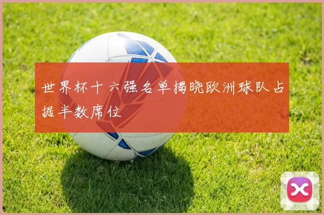 世界杯十六强名单揭晓欧洲球队占据半数席位