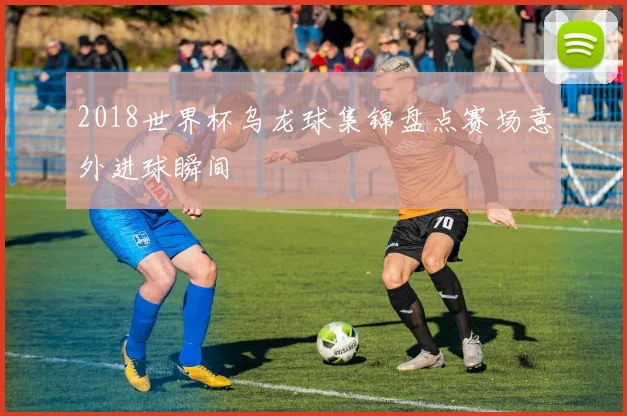 2018世界杯乌龙球集锦盘点赛场意外进球瞬间