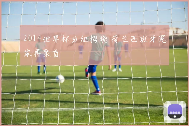 2014世界杯分组揭晓 荷兰西班牙冤家再聚首