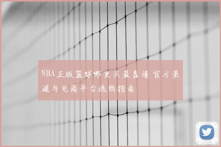 NBA正版篮球哪里买最靠谱 官方渠道与电商平台选购指南
