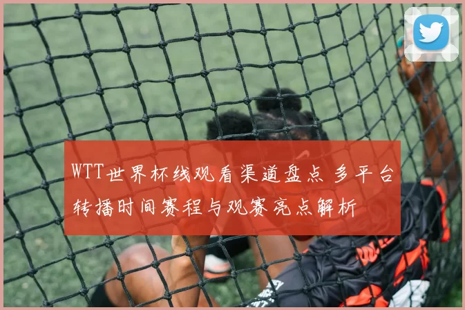 WTT世界杯线观看渠道盘点 多平台转播时间赛程与观赛亮点解析