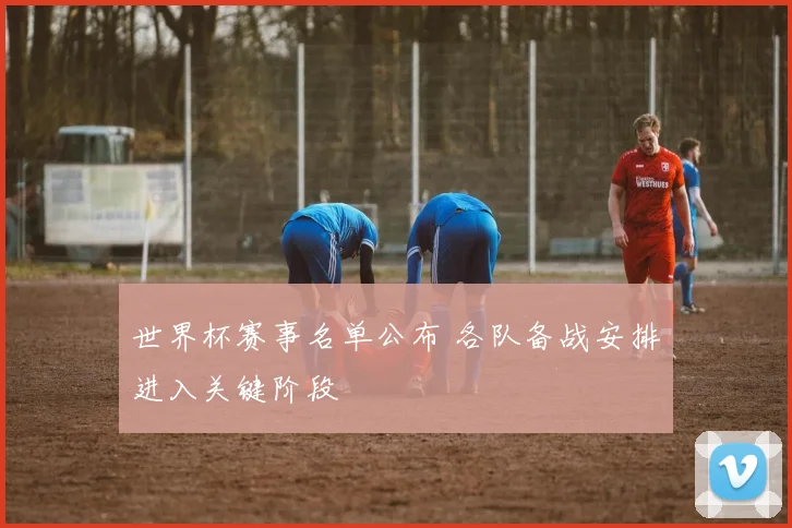世界杯赛事名单公布 各队备战安排进入关键阶段