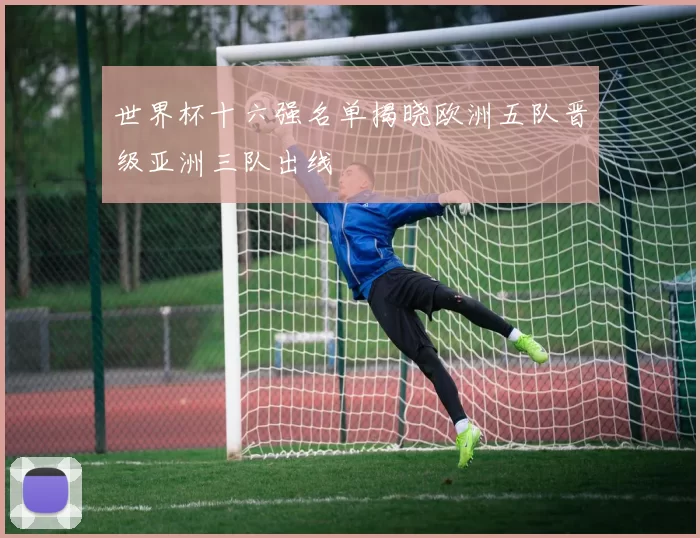世界杯十六强名单揭晓欧洲五队晋级亚洲三队出线