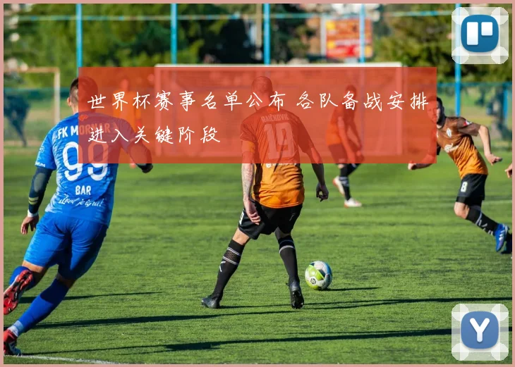 世界杯赛事名单公布 各队备战安排进入关键阶段